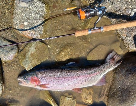 大型ばかり！ 天竜川ルアーフライ専用区